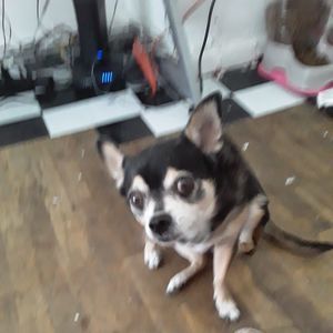 Meet your Posher, Inez